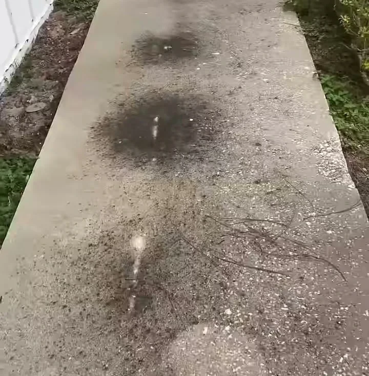Dark buildup on a concrete walkway before pressure washing